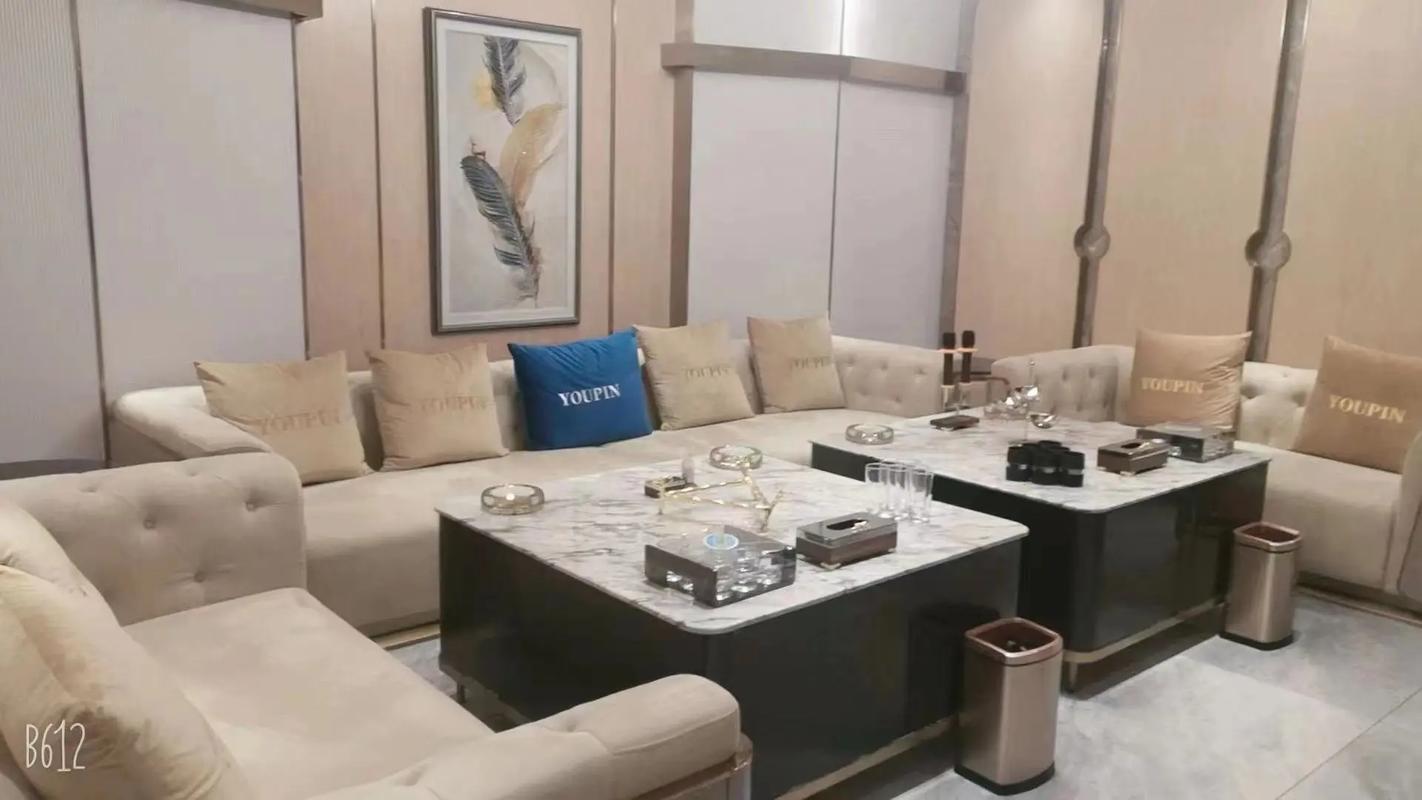 洛阳商务ktv体验单人商务特权-吉利区ktv预订